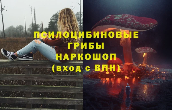 соль ск Армянск