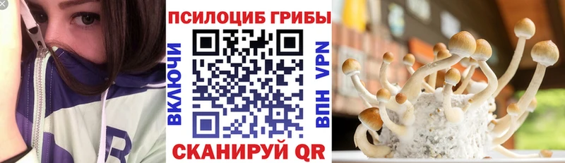 блэк спрут   Острогожск  Галлюциногенные грибы мухоморы 
